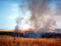 Fiamme nell’area protetta del Biviere