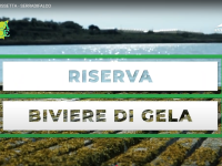 Servizio ISOLA VERDE di Antenna Sicilia con un passaggio sul Biviere di Gela