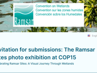 Facciamo Conoscere la Zona Umida RAMSAR del Biviere di Gela: Invito alla partecipazione al concorso Internazionale: esibizione fotografica presso la COP15