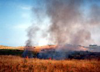 incendio al biviere di gela